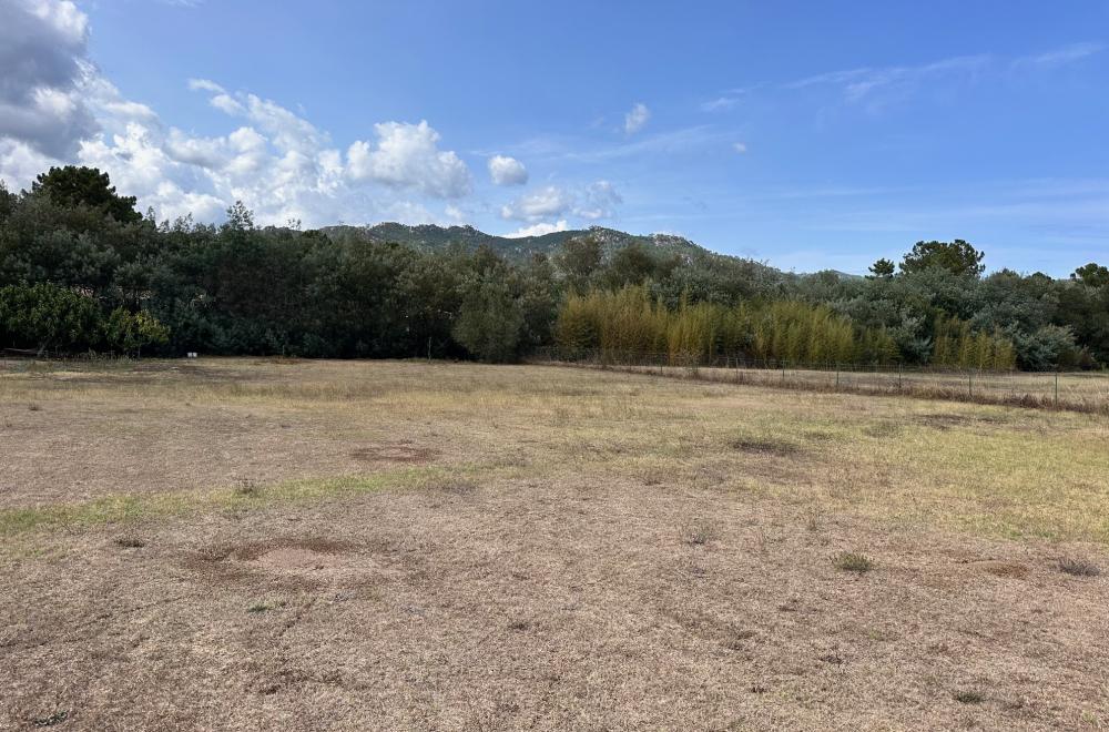 vente terrains Terrain de 2500m2 avec permis  Cap Sud Immobilier Agence Immobiliere